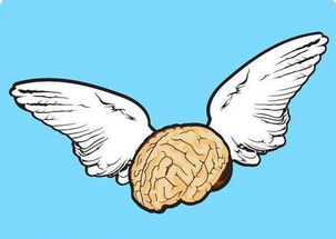 如何才能提升记忆力教你两大方法,记忆力越来越差怎么改善