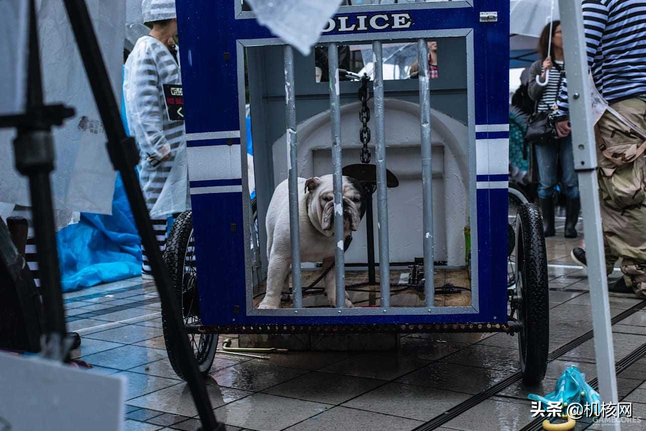 这种手工车没有发动机,却也成为汽车文化的一部分