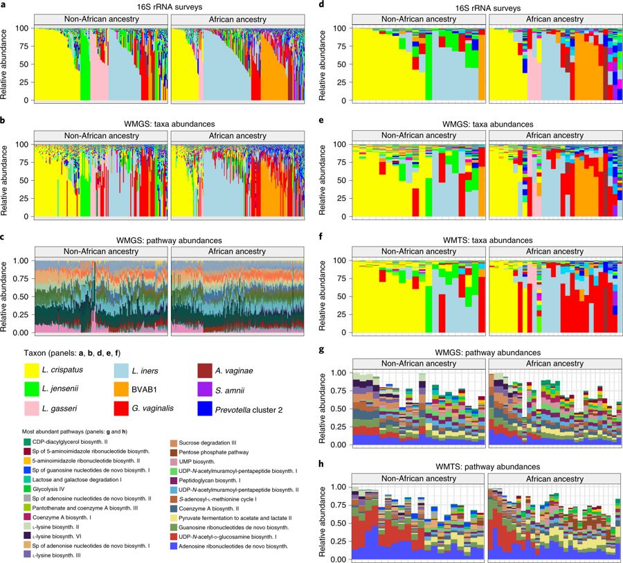 iHMP第三弹|孕期阴道微生物与种族差异