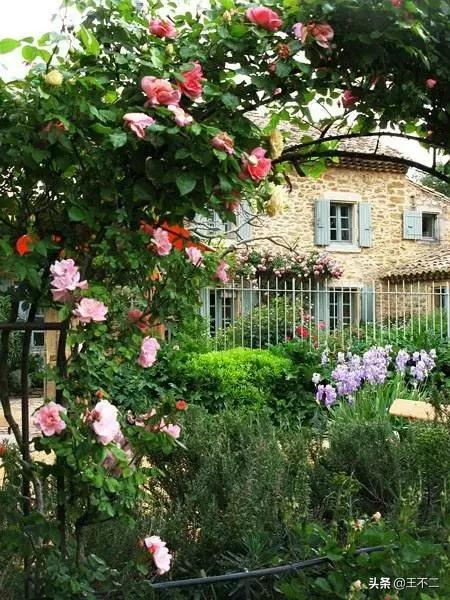 远赴人间盛宴谈笑风生不动情,远赴人间惊鸿宴谈笑风生不动情