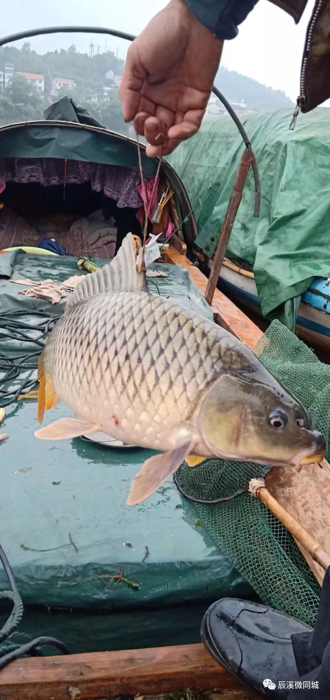 辰溪房地产招聘,辰溪招聘社会工作者