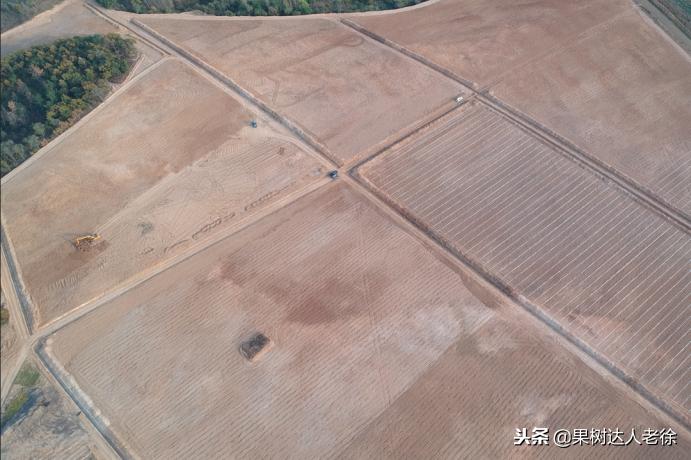 樱桃好吃树难栽下一句谚语是什么,樱桃好吃树难栽后一句是啥