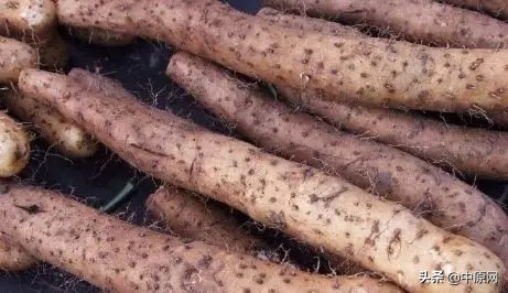 3月5日每天3分钟尽览天下事（习*平近**给文艺界、社科界的七句箴言）