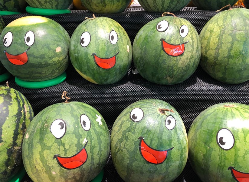 买西瓜时不要敲敲打打,买西瓜时怎么挑到又沙又甜的