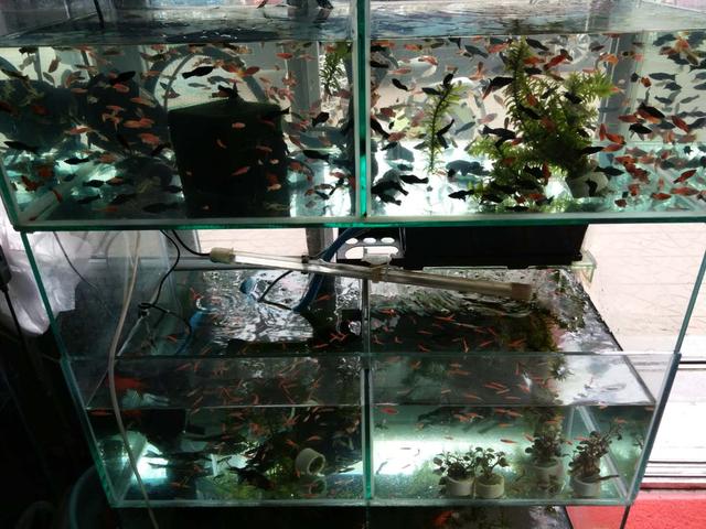 不贪小便宜能上当吗,不贪便宜不会上当受骗