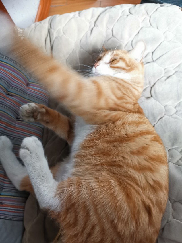 来自北庭汽修服务的帅哥马先生说，修车就是凭良心