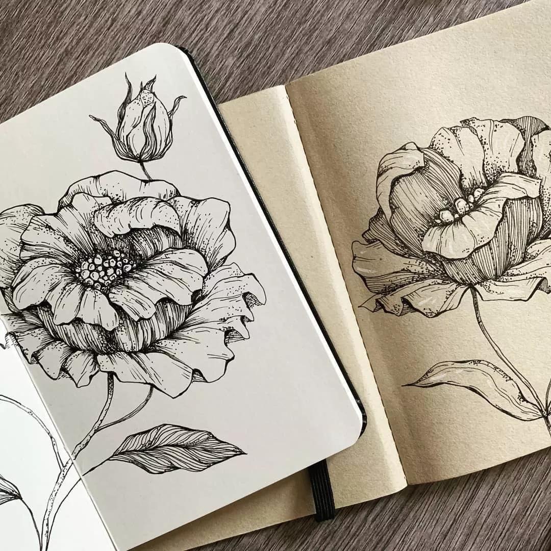 一看就懂的针管简笔画,针管笔入门手绘1000例临摹图