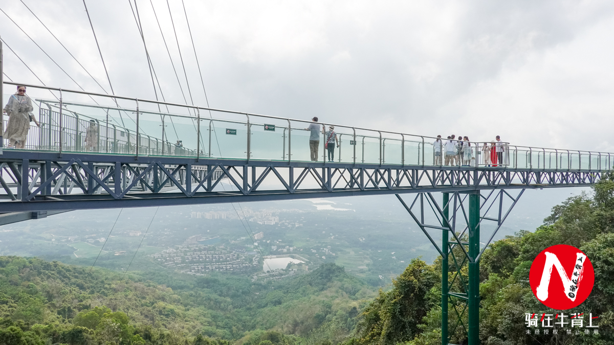 三亚呀诺达热带雨林文化区简介,三亚呀诺达热带雨林开业了吗