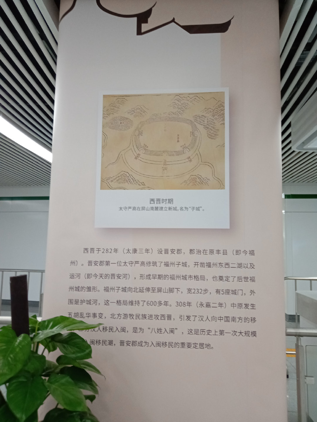 福州大学就像一座大公园，风景美到爆！最美的世界一流学科院校