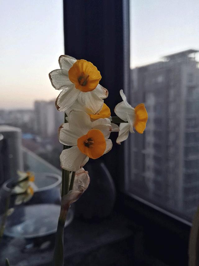 花50万让家增值500万，这80后的北欧风装修把宜家秒成渣了