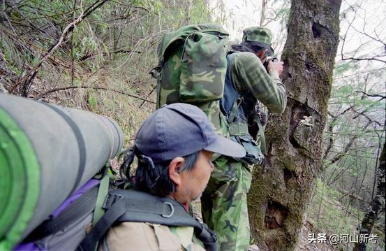 寻找野人的张金星现在如何,张金星神农架野人