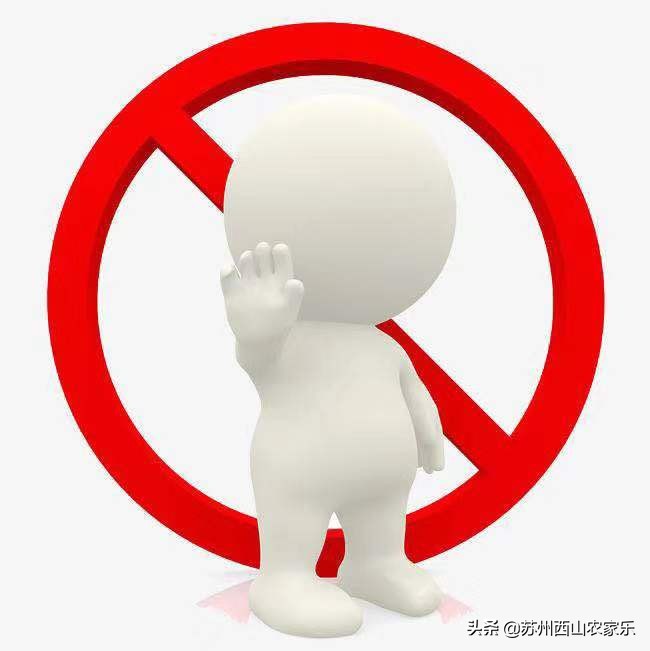 春节苏州西山农家乐多少价格,苏州西山农家乐包吃包住价格