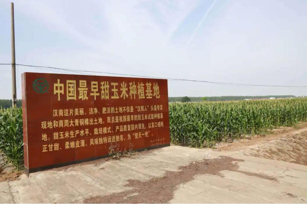 武汉东西湖蔡甸汉南,武汉知名农产品