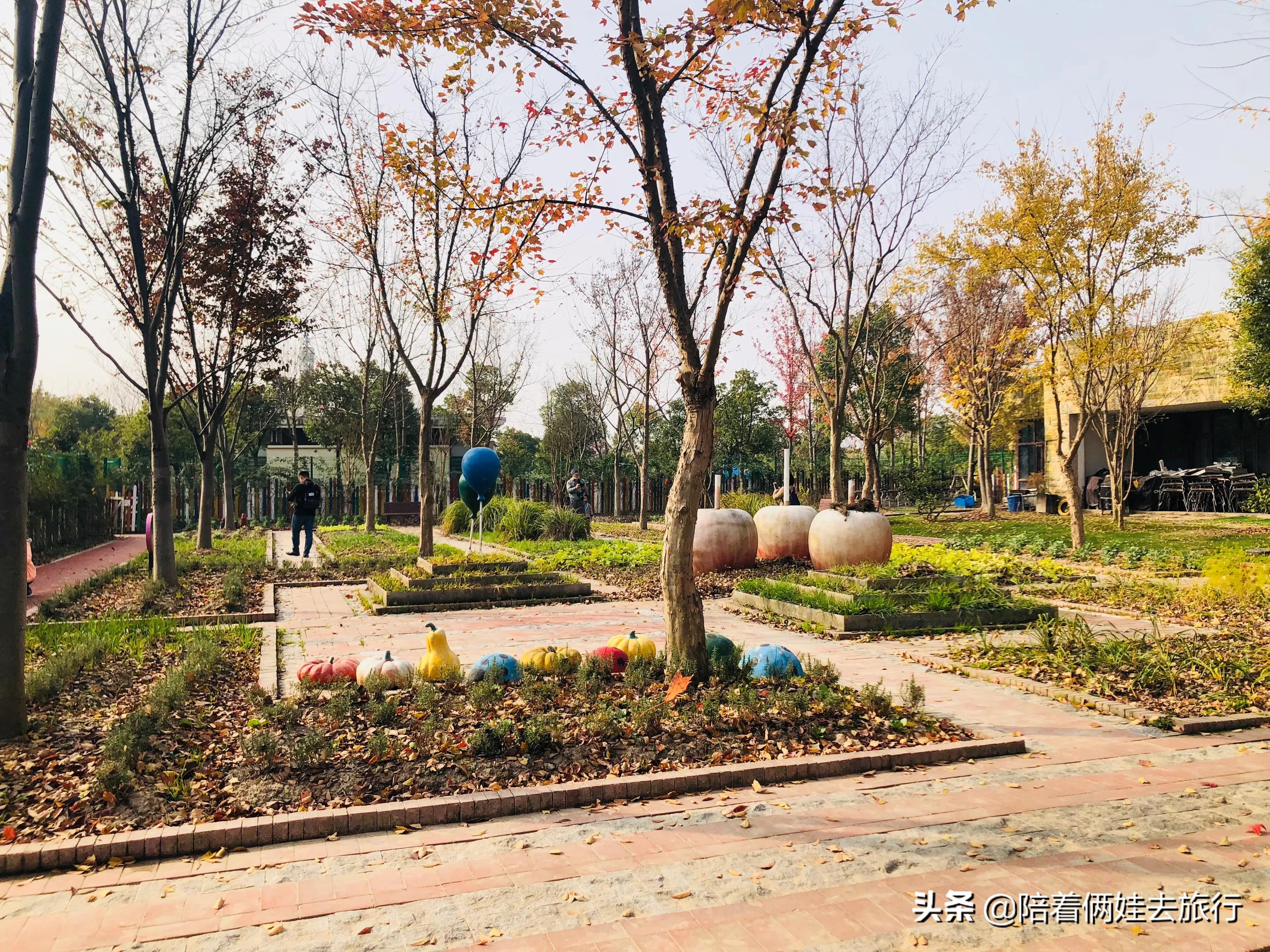 上海浦江郊野公园一日游攻略大全,上海浦江郊野公园奇迹花园地图