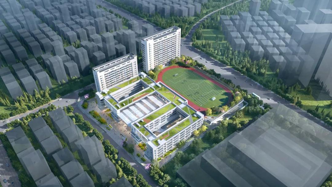 深圳龙华2019公办招生情况,深圳龙华区学校招生方案