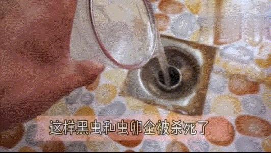 屋里出现好多黑色小飞虫怎么回事,家里突然多了很多很小的黑色飞虫