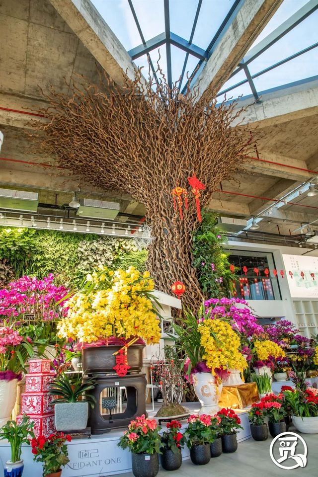 深圳花店有什么花,深圳龙华花店订花送花