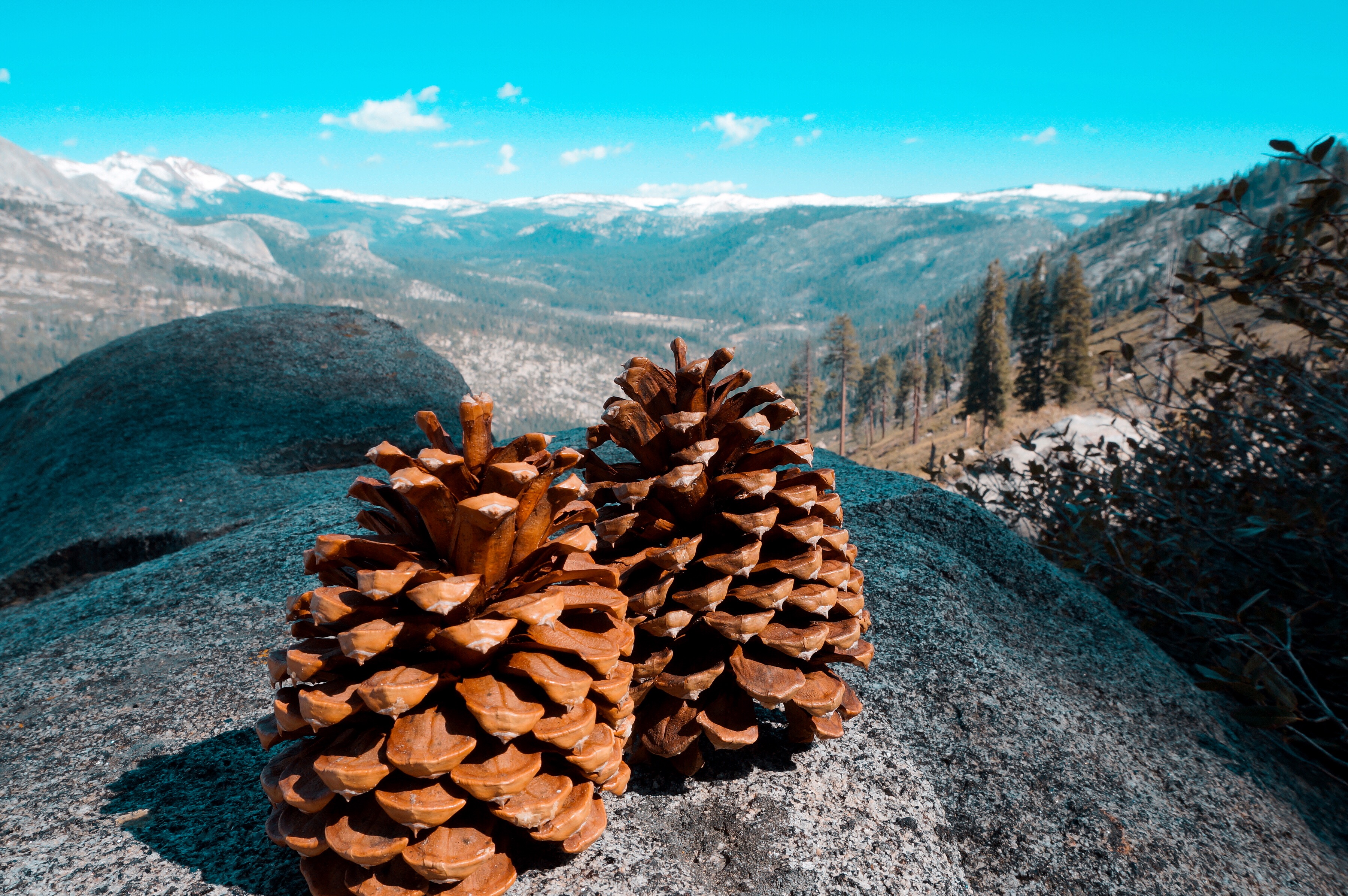 美国优胜美地国家森林公园风光,上帝的伊甸园伊犁