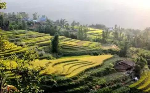 梧州江口网红打卡景点,梧州长洲岛网红打卡景点