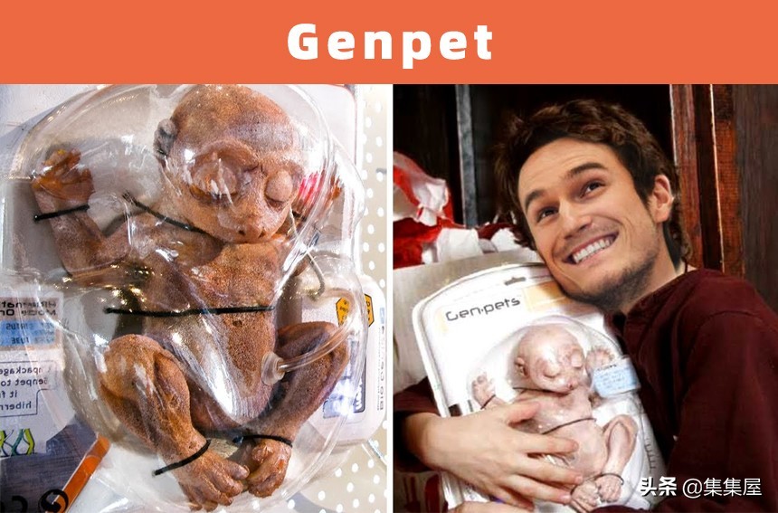 世界上有没有转基因生物,最早的转基因生物