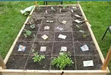 教你打造一米菜园,自家菜园教程新手入门