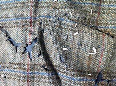 衣柜底下有黑色小虫子怎么办,衣柜里长虫子了怎么办