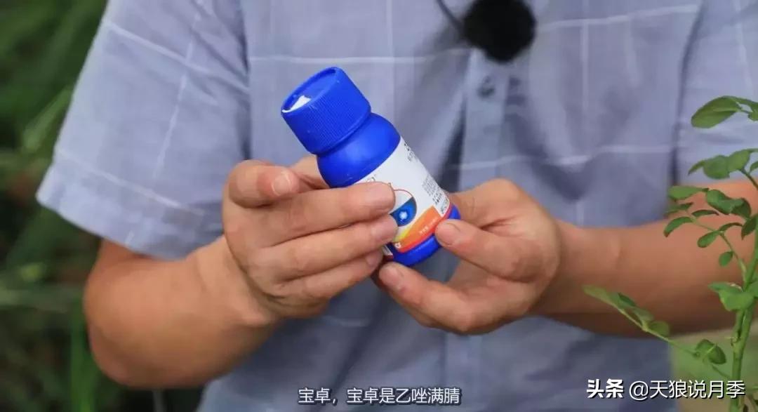 史上最详细的“红蜘蛛”防治攻略三部曲(对应三期视频)