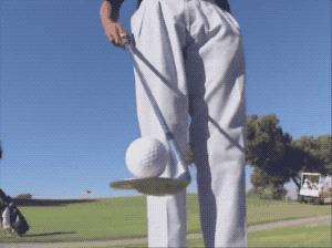 美国高尔夫老虎伍兹,高尔夫名将老虎伍兹