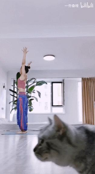 花了二十万做的装修设计,花了20万装修成自己梦想的样子