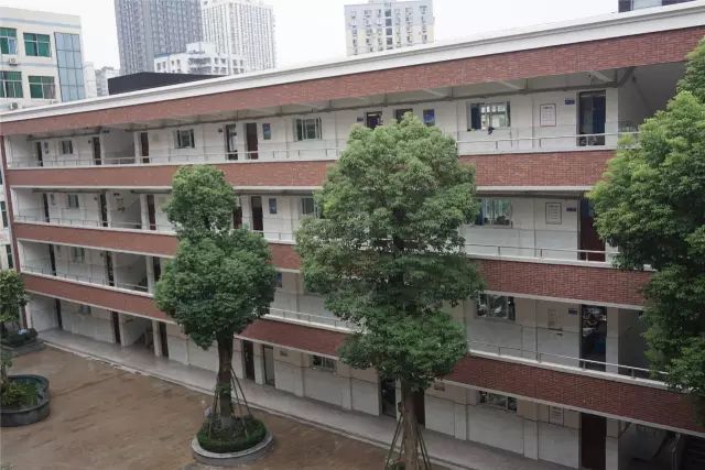 重庆渝北区松树桥中学简介,重庆松树桥中学2021