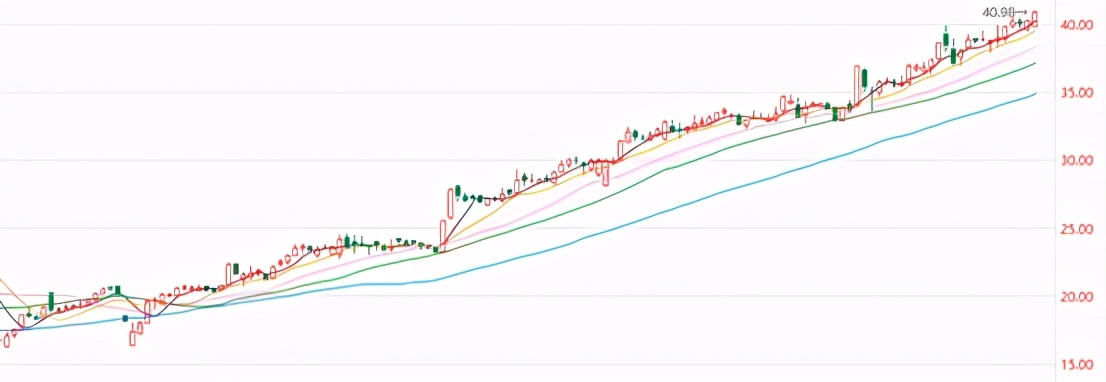 好基金的收益在多少合适,张坤的易方达蓝筹要清仓吗