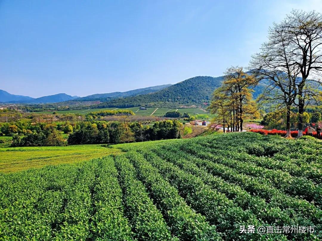 常州周边竟然藏着*博兰**基尼家族野奢之作！来了就想住一辈子