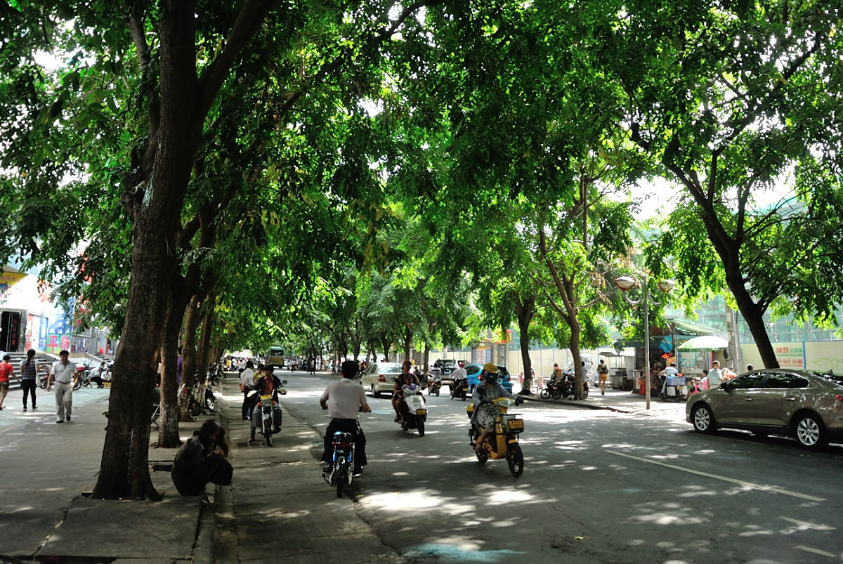 海南自驾租车推荐车型最新,海南517驿站租车价格表