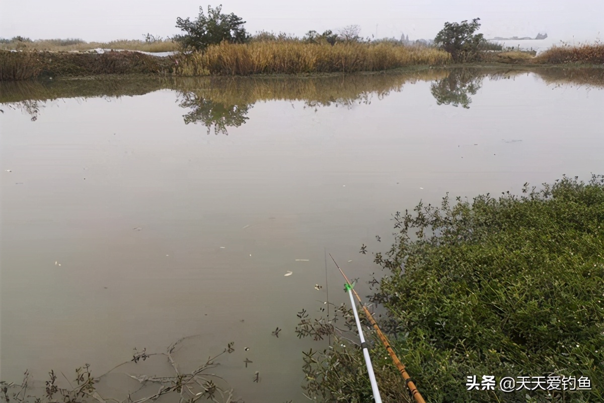 钓鱼最佳天气和时间,冬季阴天钓鱼的最佳时间段