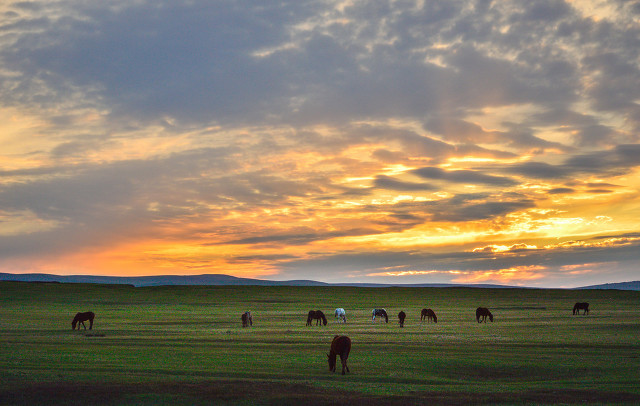 回族女生不能嫁给汉族吗,回族女孩为什么要嫁给不喜欢的人