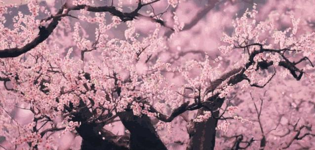 疫情期间农场经营的建议,疫情下农场经营