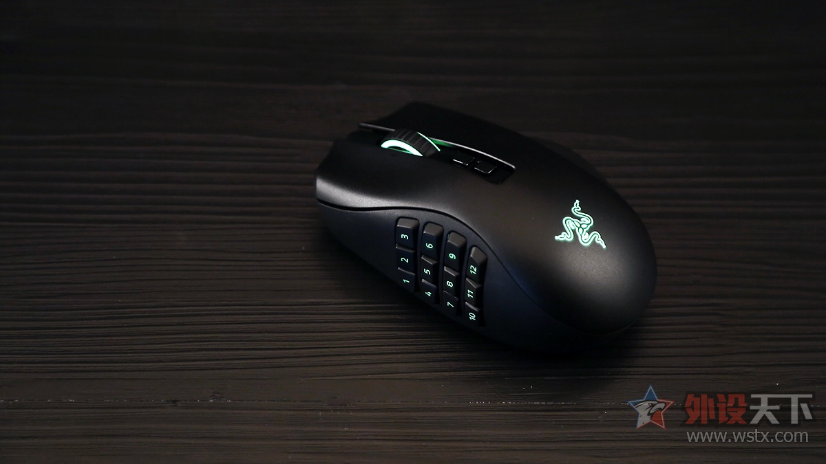 雷蛇那伽梵蛇鼠标宏,雷蛇那伽梵蛇专业版怎么装电脑上