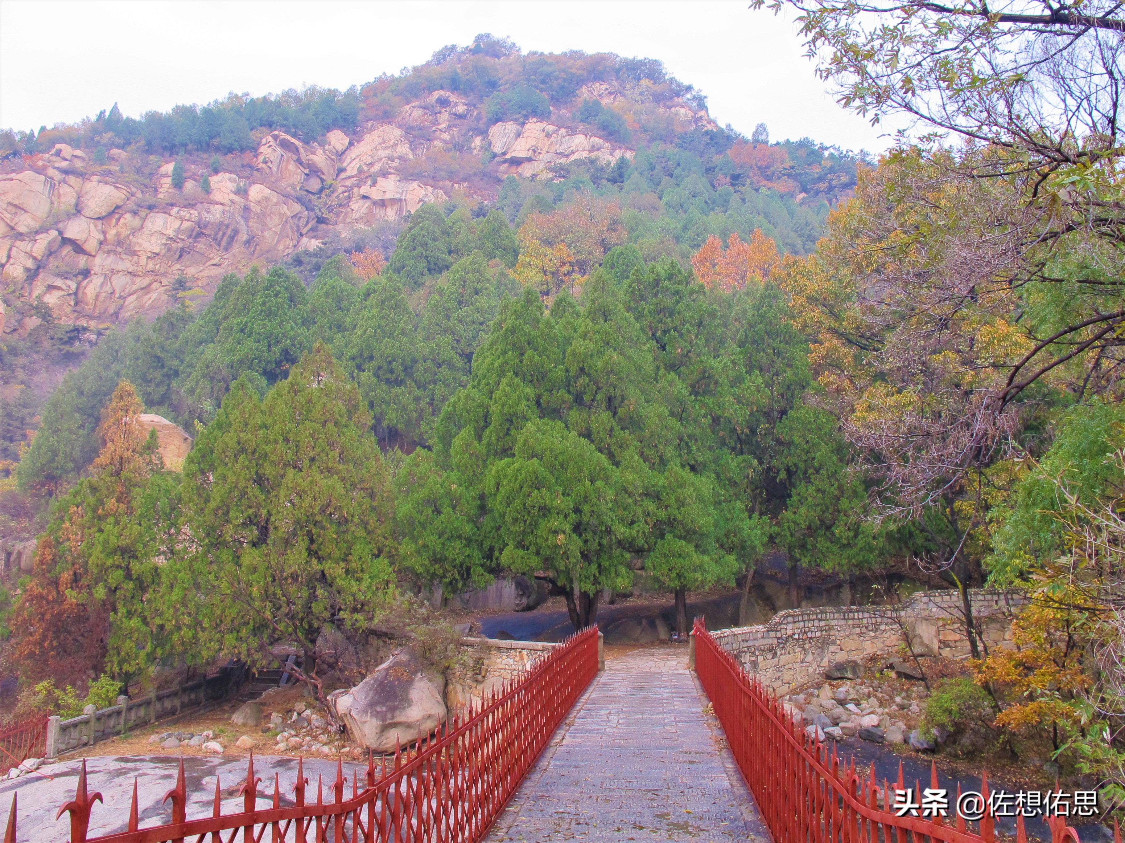 扇子崖优惠,泰安扇子崖免门票吗