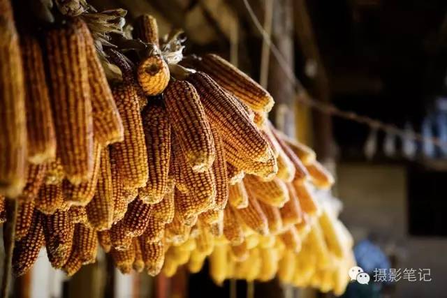 对焦方式怎么调整单次对焦,视频对焦4分钟学会30种对焦策略