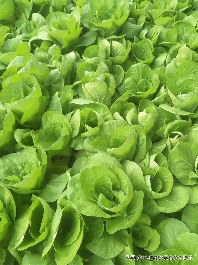 蓟县盘山农家山庄,盘山玉环山庄