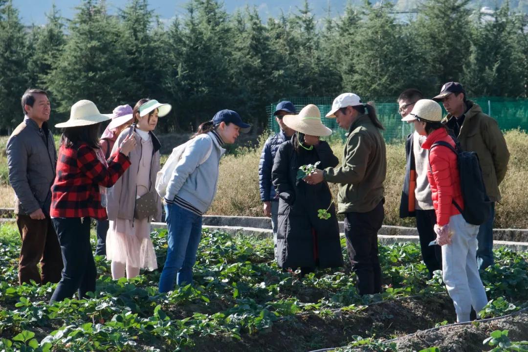 让农业回归原生态,呼唤传统农业回归