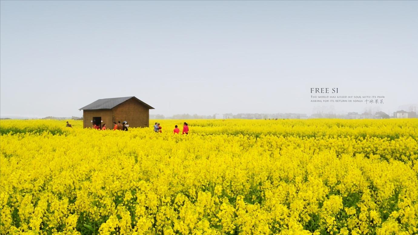 江苏省泰州市区域划分图,江苏泰州市属于华南还是华东