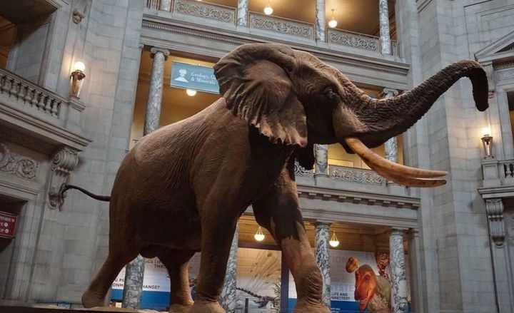 奇妙的博物馆在哪里,博物馆奇妙耶完整版