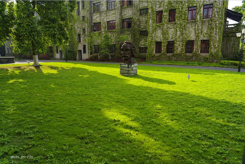 教育部重庆大学排名,西南大学在重庆排名