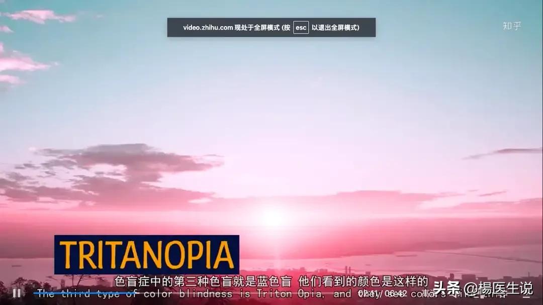 黑白色盲眼中的世界,色盲眼中的世界