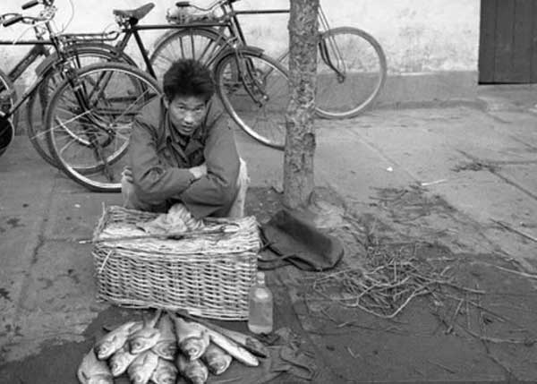 近30年的5个暴富商机你错过了,中国未来10年最赚钱的商机