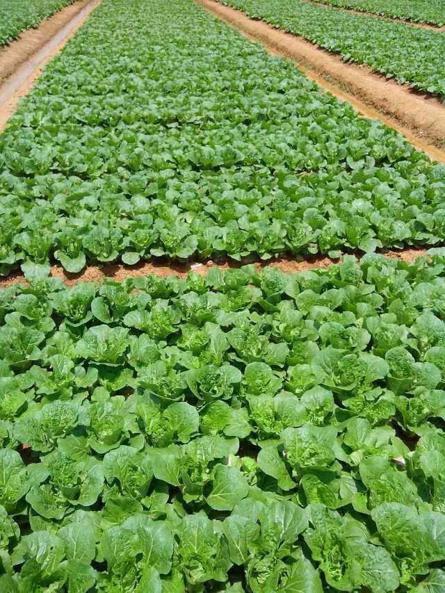 云南大理中千万大奖,大理刮出80万大奖