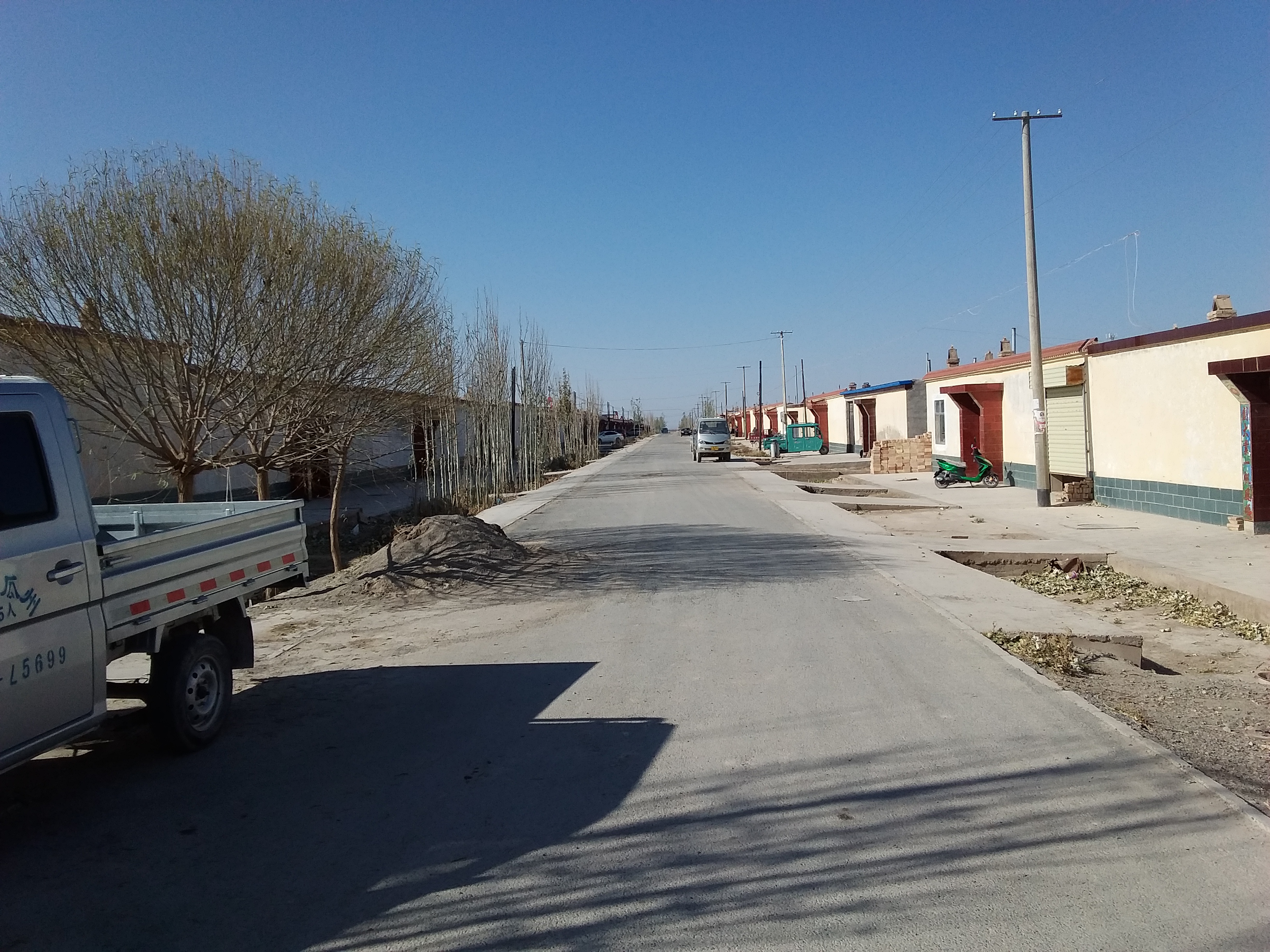 乡村振兴致富带头人政策作用,新农村致富好项目