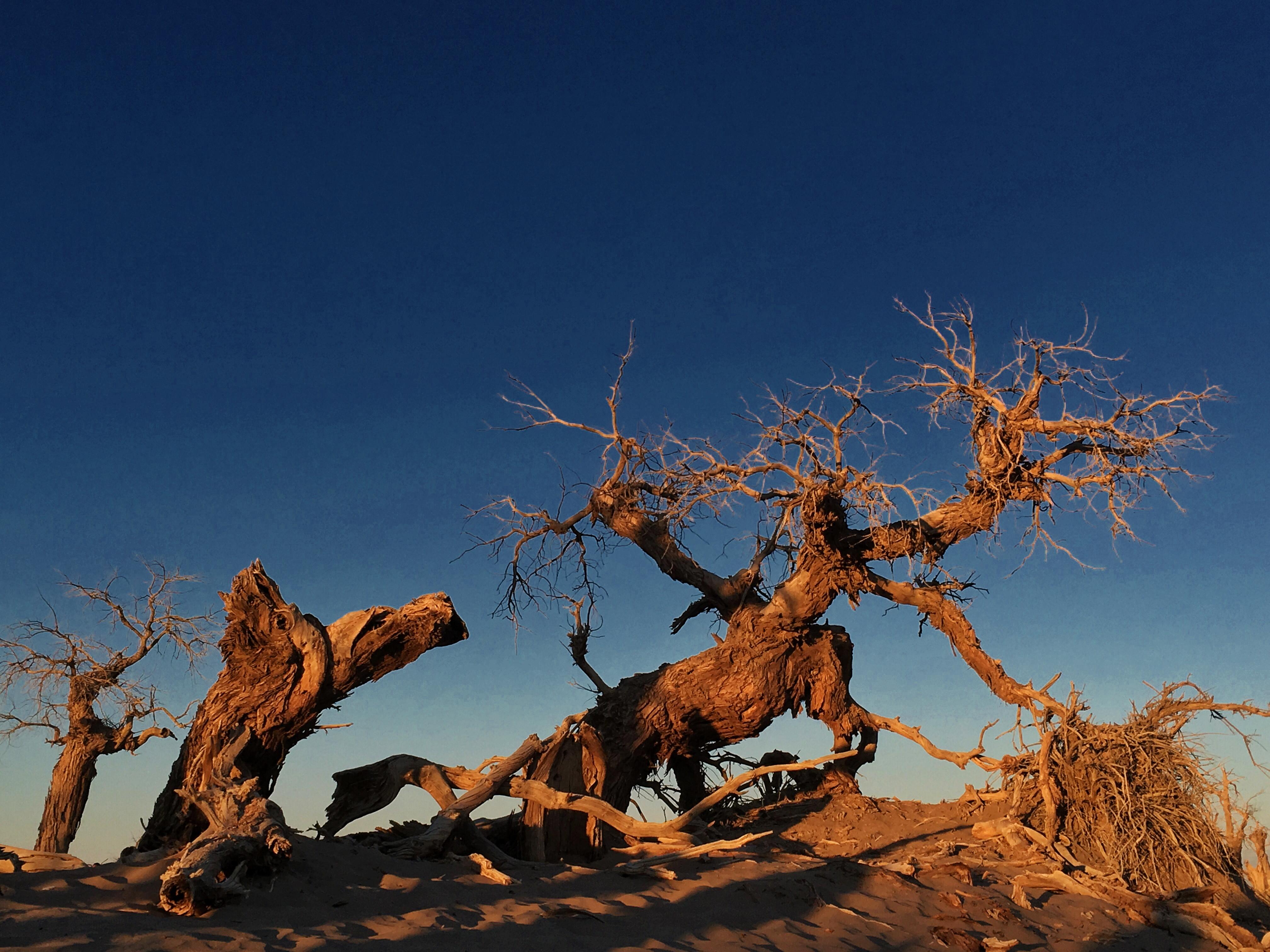 教你如何拍出最好的照片,只需3步教你拍出好照片