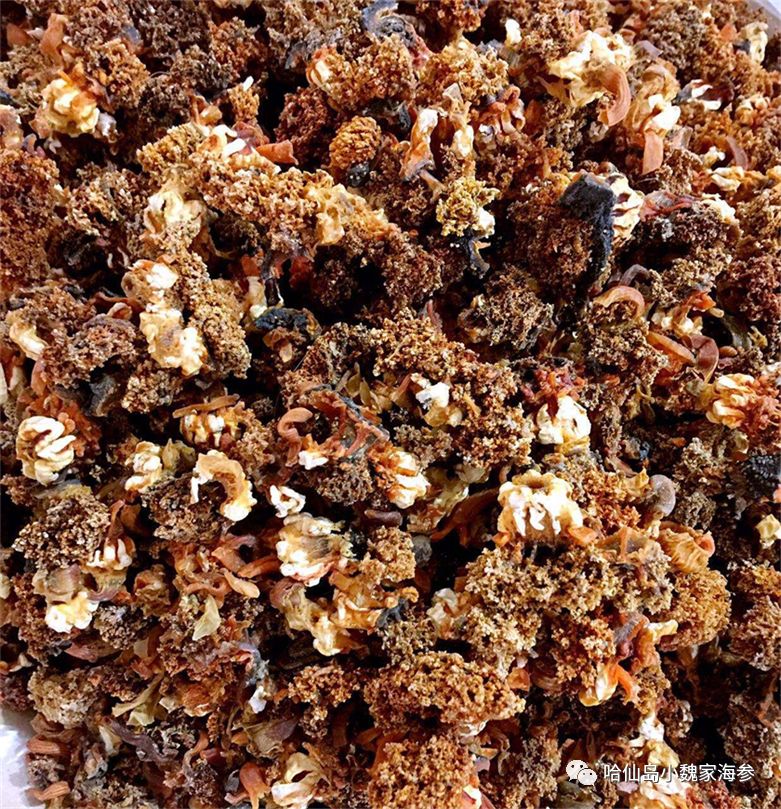 海参可不可以一年四季吃,海参什么季节吃好春天可以吃吗